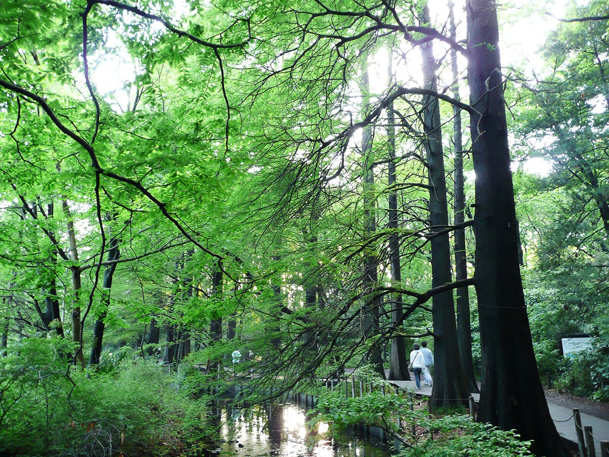 井の頭公園が好きなら、きっと好き。水辺ある森の公園・10選。 | 吉祥寺ズム。